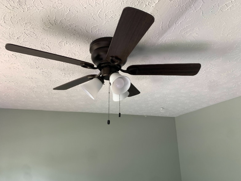 Building Photo - 556 Wedgewood Dr