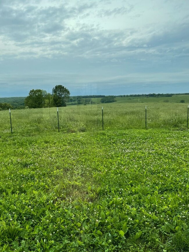 Building Photo - Country house retreat on 10 fenced acres for a hobby farm