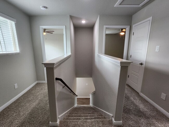 Building Photo - Luxury Living in the Heart of Cibolo!