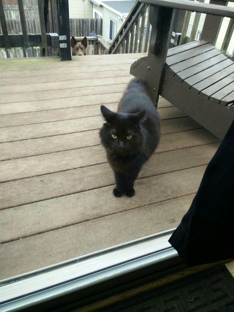 visiting friend on the deck - 1815 40th Ave