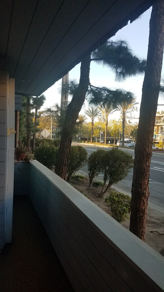 Building Photo - 311 Bora Bora Way