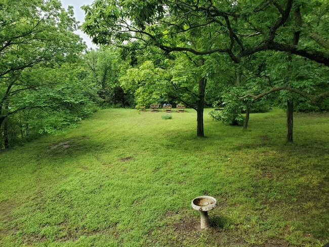 Building Photo - Secluded luxury cabin in woods with privat...