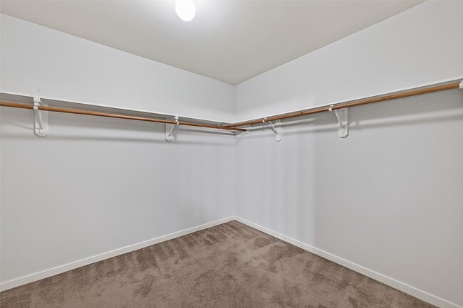 Building Photo - 21327 Branford Hills Ln