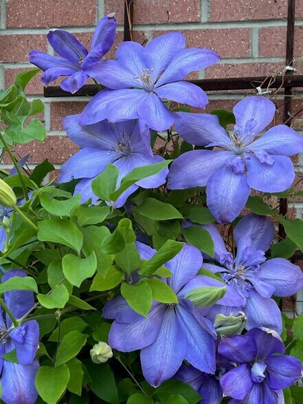 Building Photo - 2934 S Zurich Ct