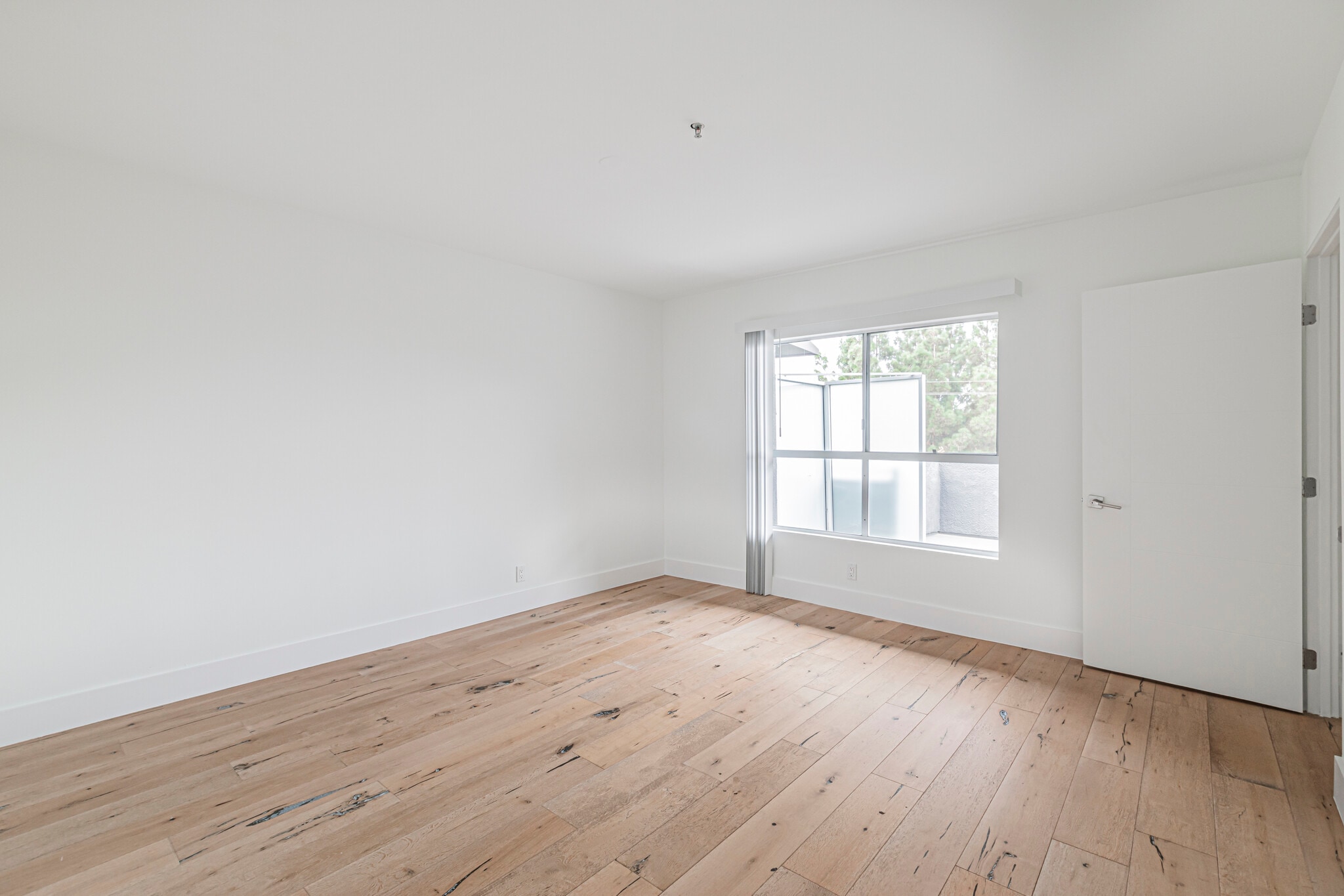 Building Photo - 939 Palm Ave