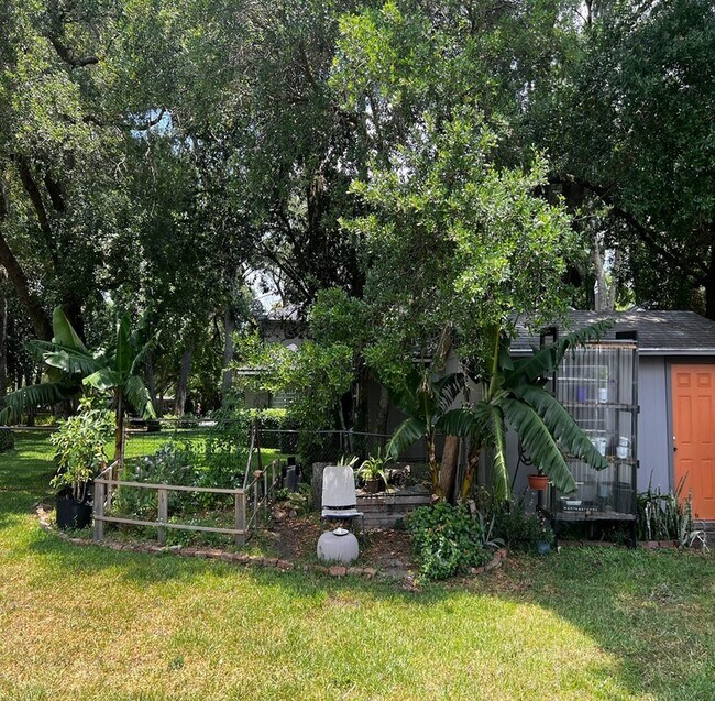 Building Photo - 3333 Lila Dr