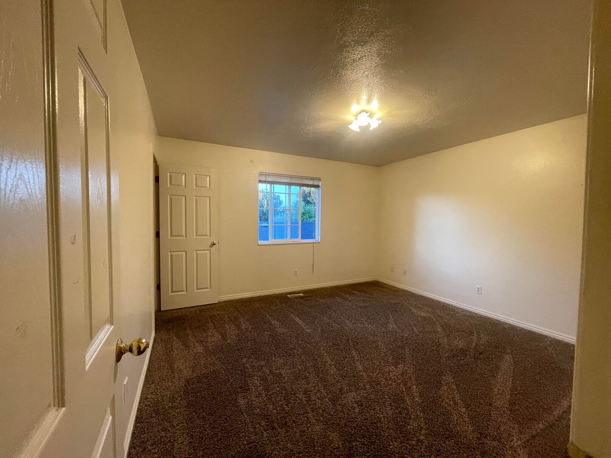 Building Photo - 1545 Talon Dr
