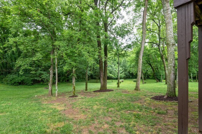 Building Photo - Beautiful home in the Woodlands