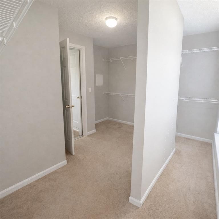 Building Photo - 728 Denise Ct