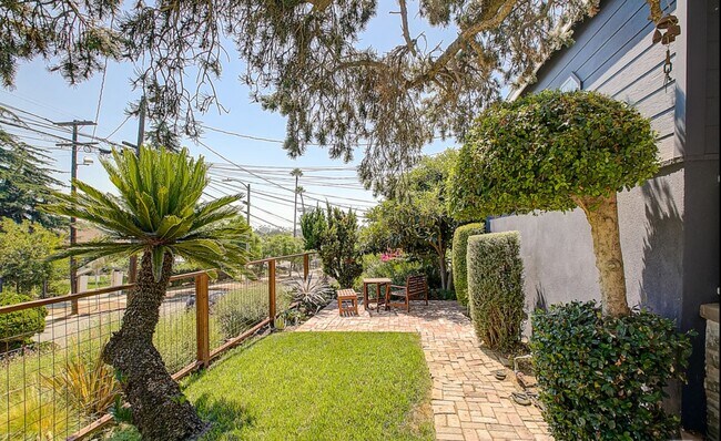 Front Yard - 663 Micheltorena St