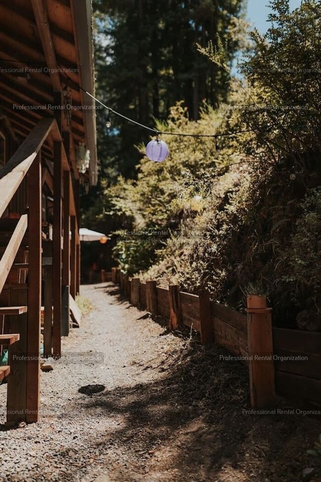 Building Photo - Sunlit Sanctuary in the Redwoods