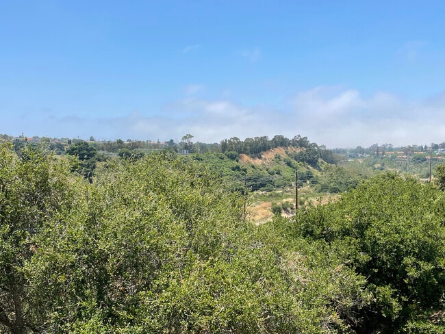 Beautiful view from the balcony - 7120 Shoreline Dr