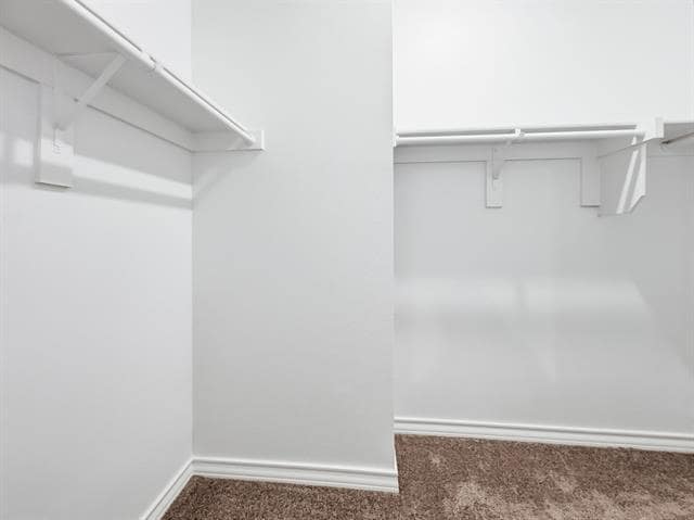 Building Photo - 663 Saxony Dr