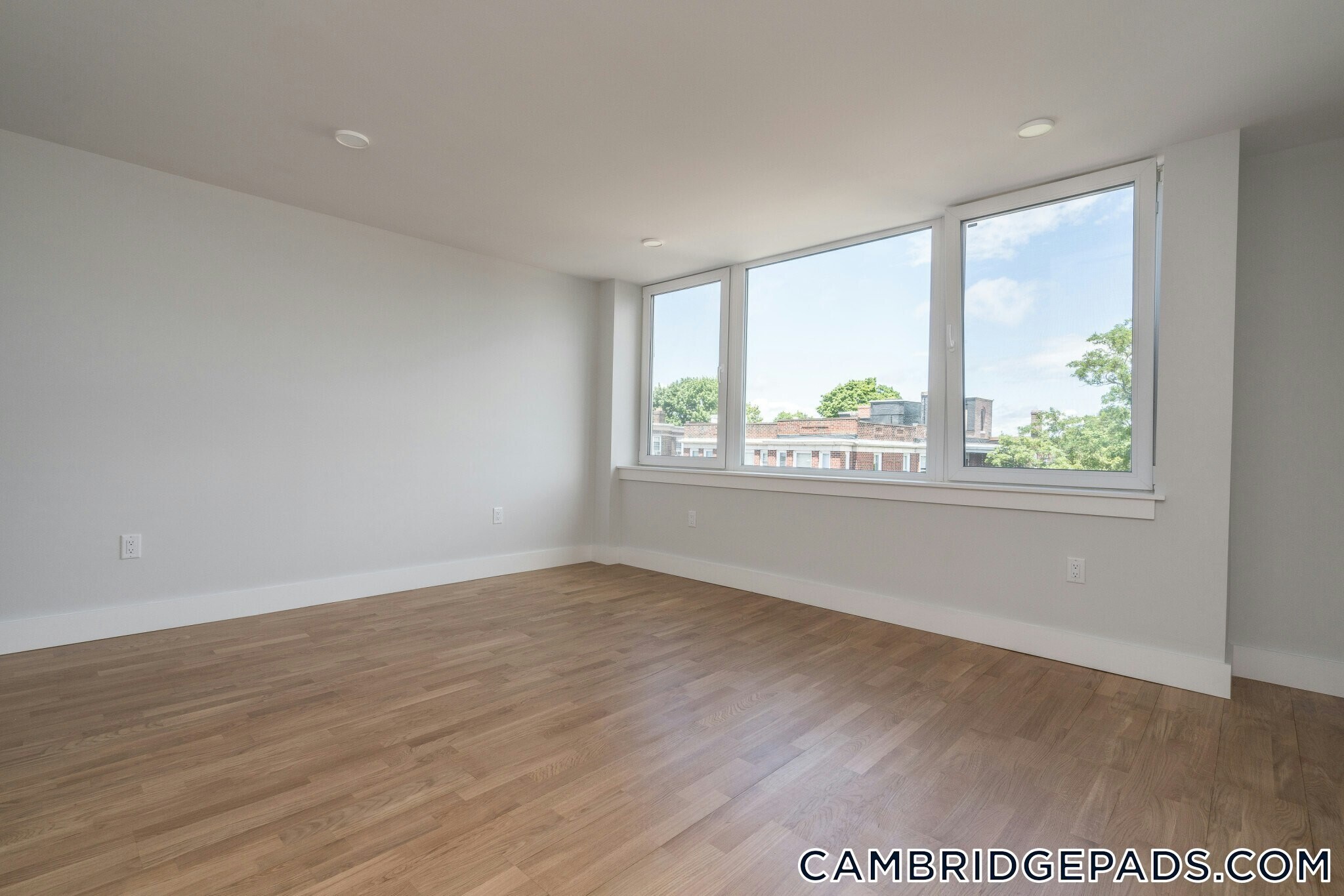 Building Photo - 334 Harvard St