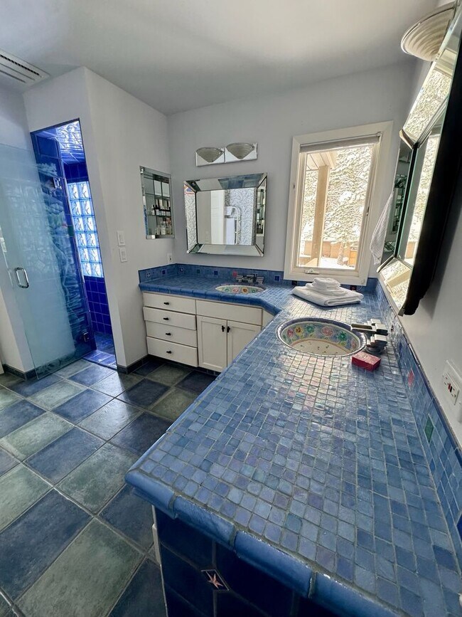 Building Photo - HUGE Custom-Designed Dream Home bordering Indian Meadows Preserve!