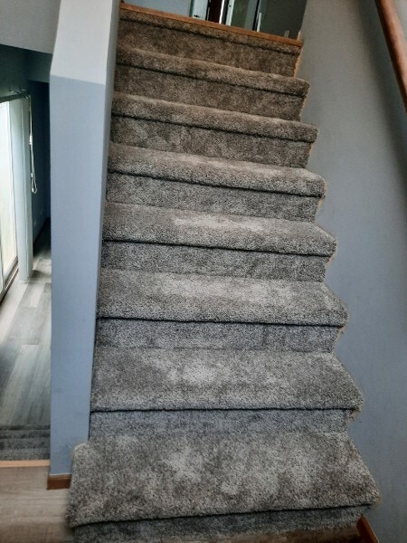 Building Photo - 805 Serendipity Dr