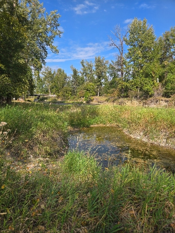 Building Photo - 16 Magstadt Ln