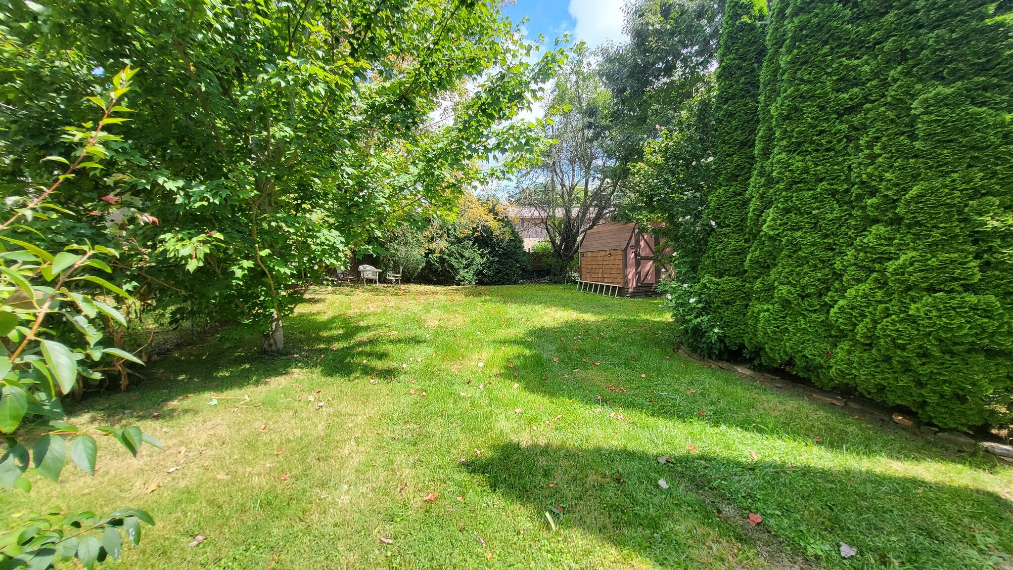 backyard - 116 Faw Rowland St