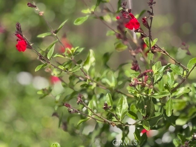 Building Photo - 1212 Fedora St