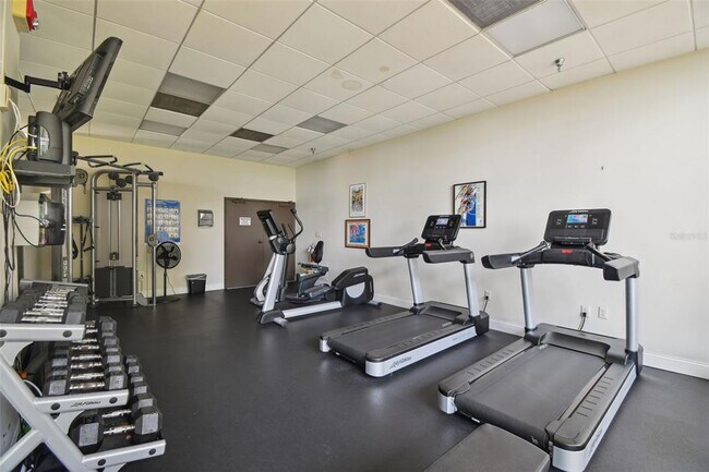 Building Photo - 2413 Bayshore Blvd