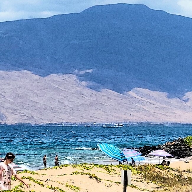 Building Photo - Live the beach life! Remodeled 1 Bedroom Near Charlie Young Beach