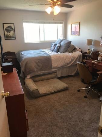 Building Photo - 4299 Monroe Dr