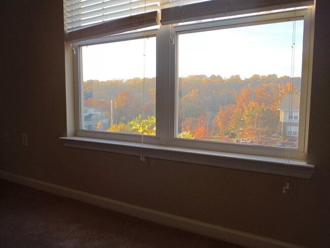 Building Photo - 1105 Tree Top Way