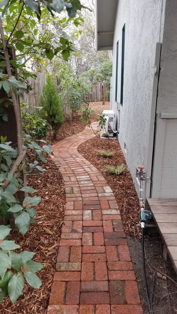 Building Photo - Newly Remodeled Home in East Davis