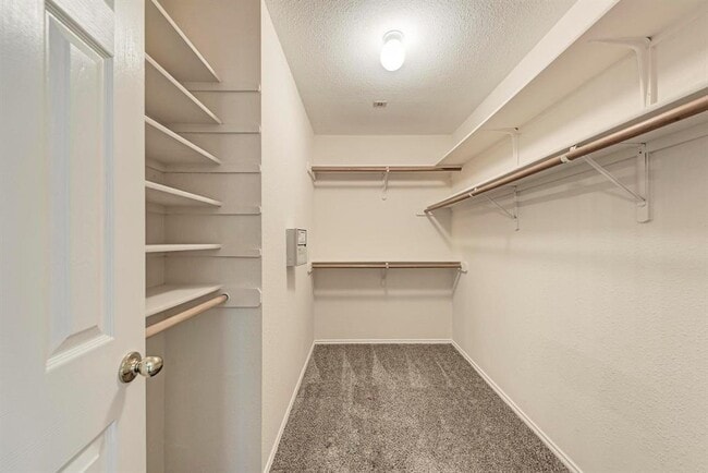 Building Photo - 709 Horizon Trail