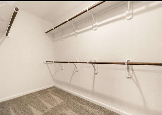 Building Photo - 8307 Oakleaf Meadow Ct