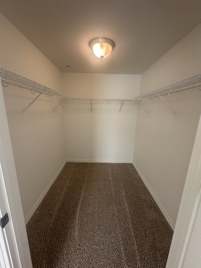 Building Photo - $3,950 - 2 Bed / 2 Bath City Walk Condo in Downtown San Diego