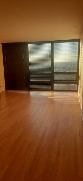 Steel Mini-Blinds. Bottom Windows with Screens open for fresh air - 1636 N Wells St