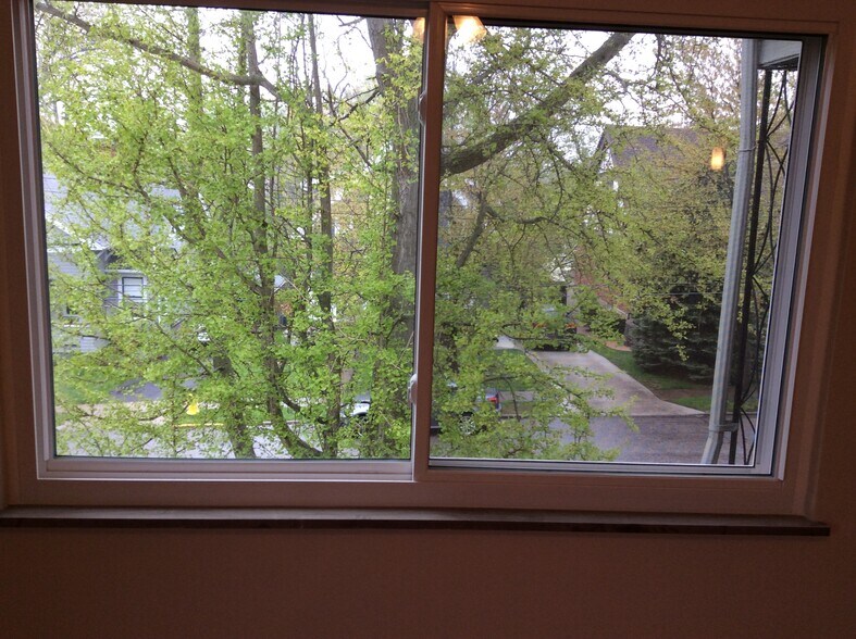 View from Bedroom - 20 Chalfonte Pl