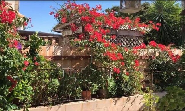 Building Photo - Four Bedroom Home in Sante Fe Hills, San M...