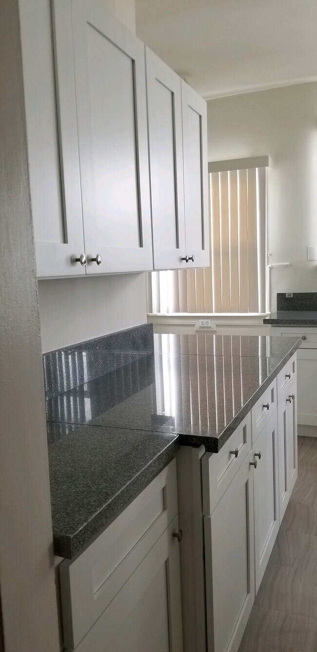 Kitchen - 1955 N Vermont Ave