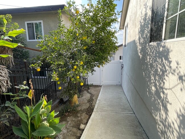Building Photo - 1236 N Evergreen Ave