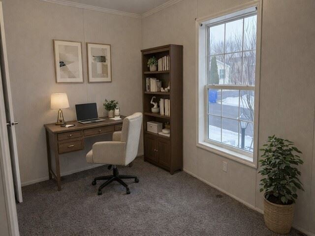 Building Photo - 825 Willowbrook Dr