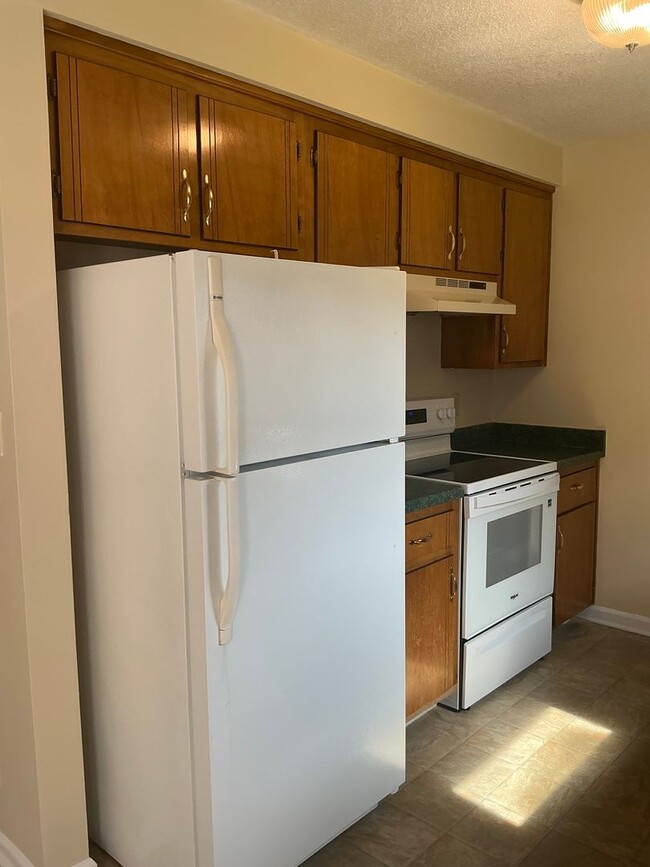 Building Photo - 910 Dolphin Ln