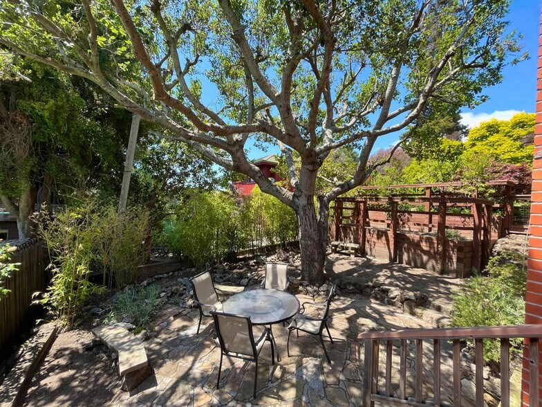 Backyard - 1216 Spruce St