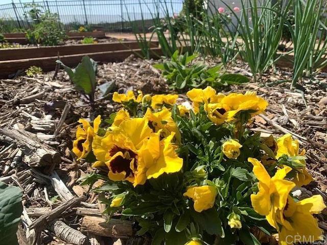 Building Photo - 2090 Quail Meadow Rd