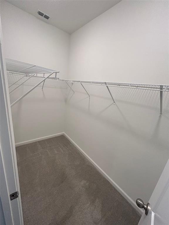 Building Photo - 573 Disa Dr