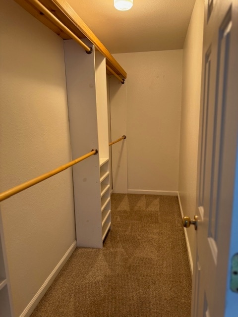 Building Photo - 3030 Hollybrooke Dr