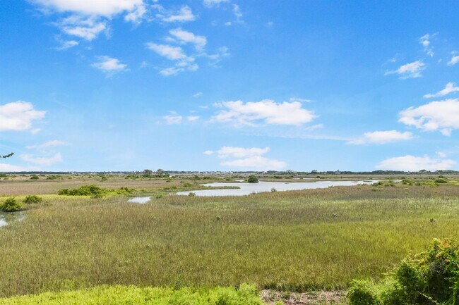 Building Photo - 2005 Mariposa Vista Ln