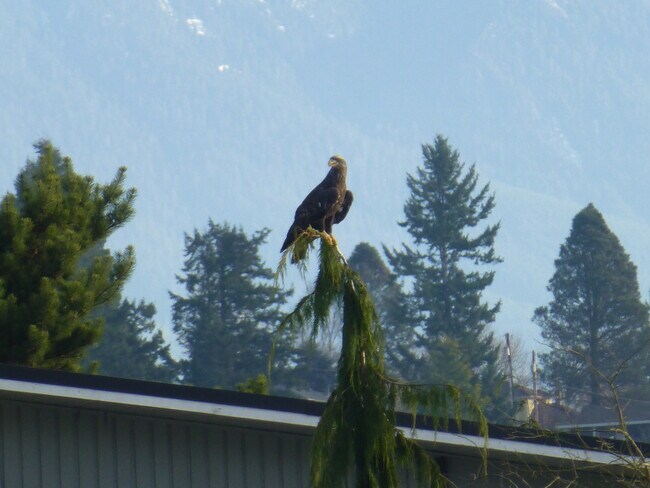 Building Photo - 1611 Vernon Rd