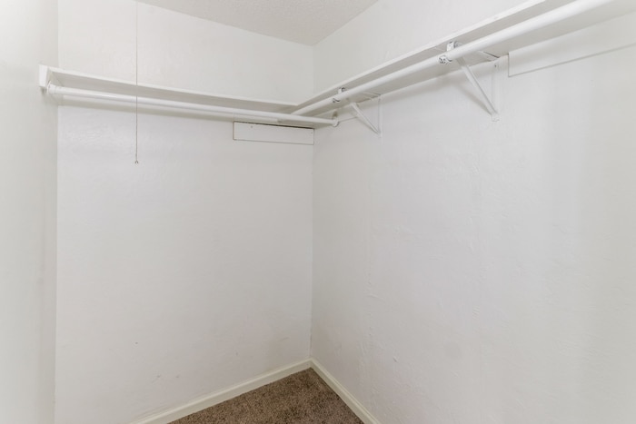 Building Photo - 1331 Glencliff Ct