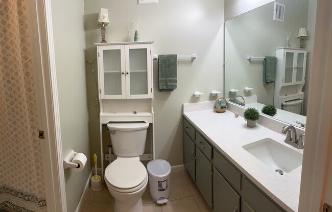 Spacious master bathroom. - 2929 Selena Dr