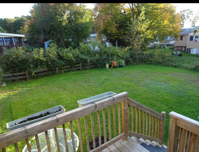 Shared backyard - 3 Neillian St