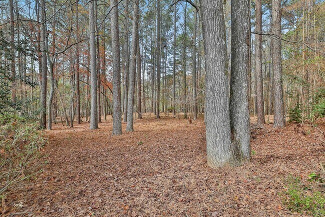 Building Photo - Charming Cul-de-Sac Ranch in The Terraces – 3 Bed/2 Bath in Peachtree City