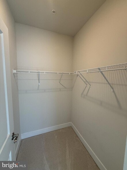 Building Photo - 115 Dickenson Dr