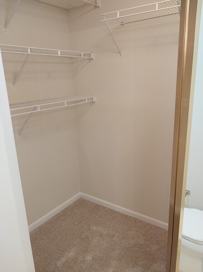 Building Photo - 3912 Vineyard Green Dr